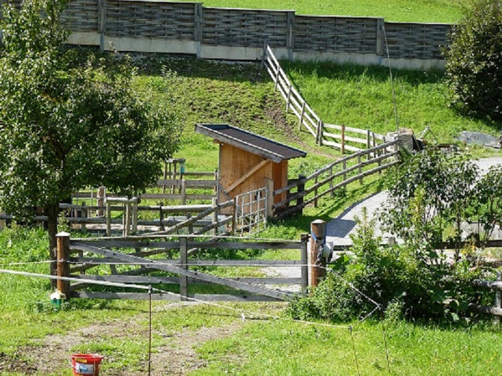 Wiesingbauer Saalfelden Exterior foto