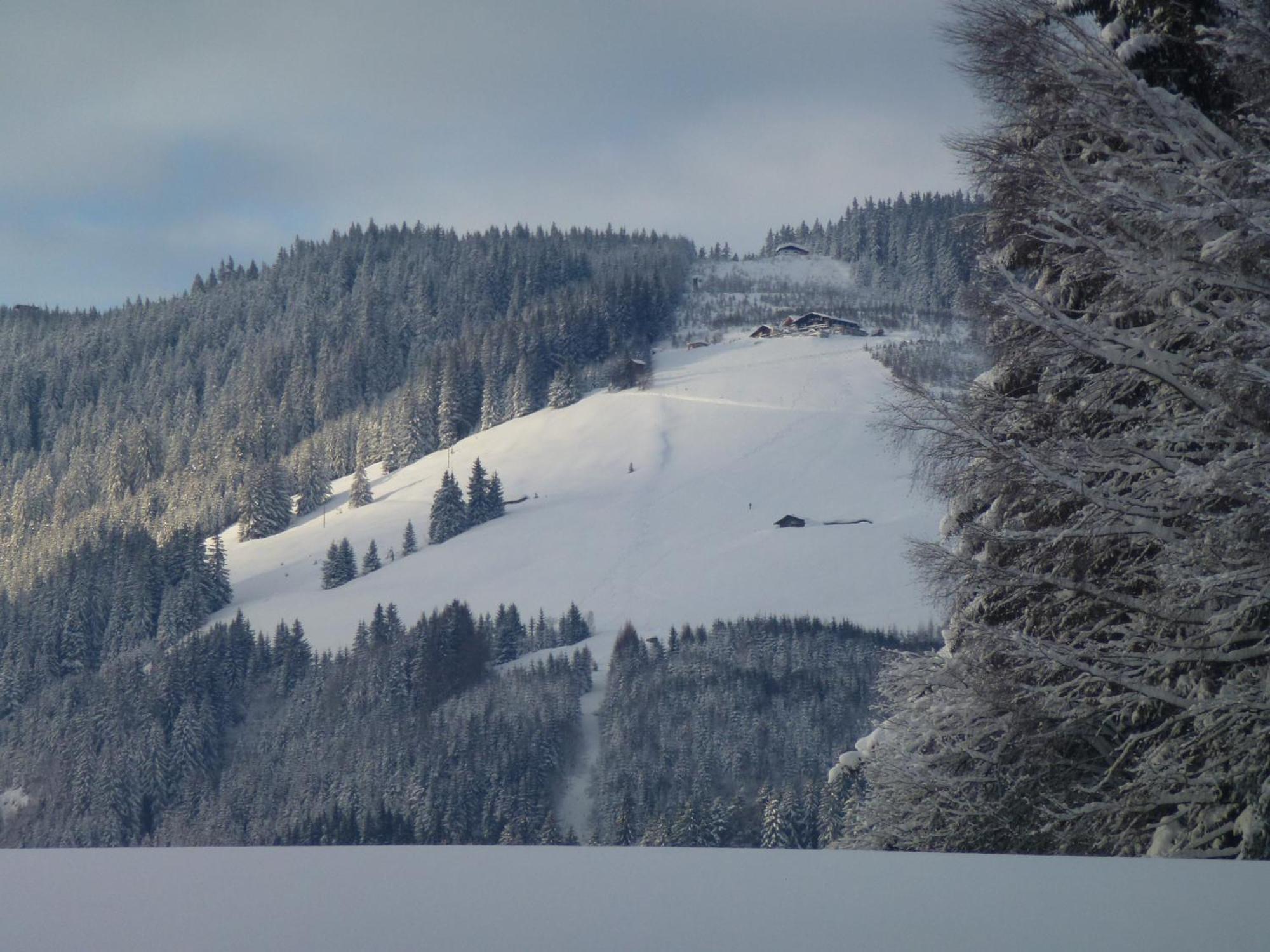 Wiesingbauer Saalfelden Exterior foto